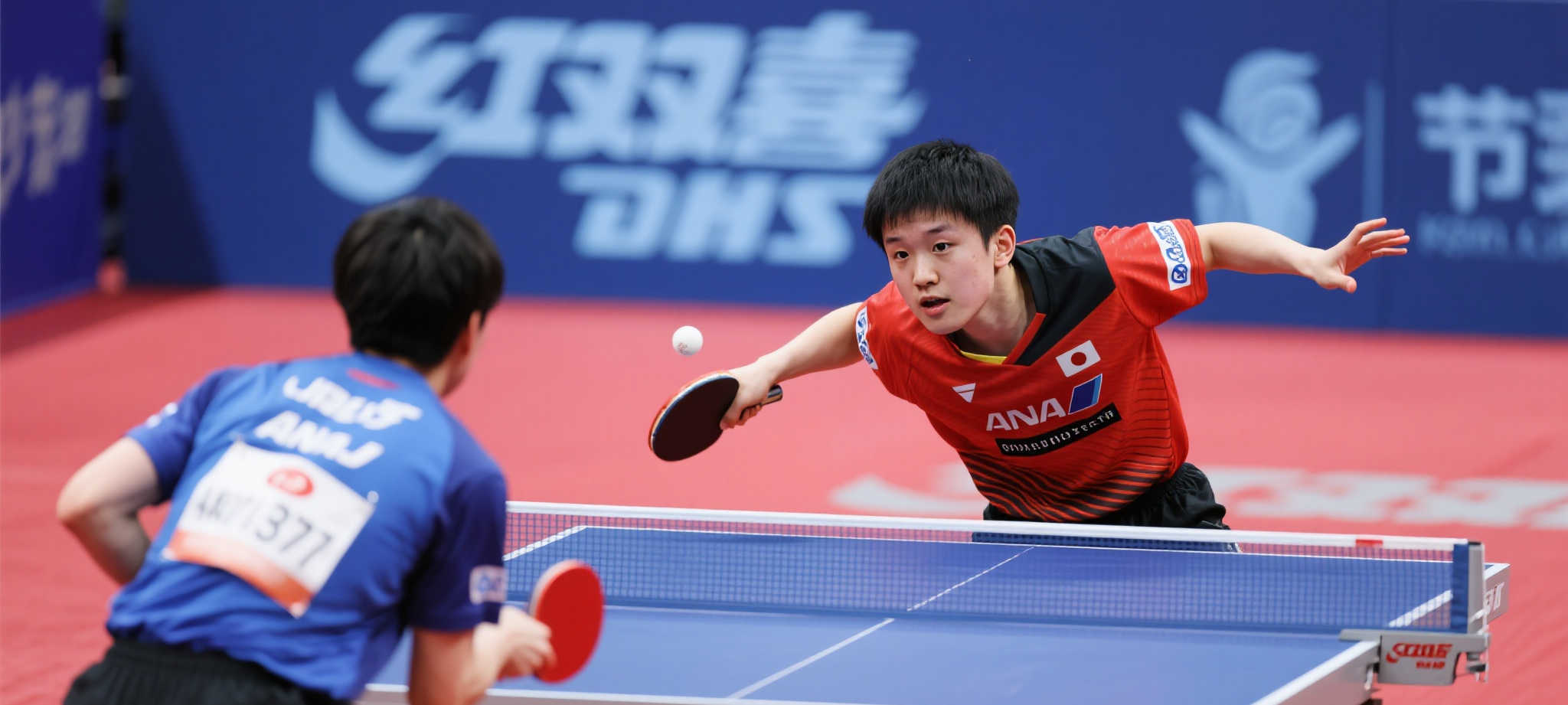 极速体育直播VIP注册中心