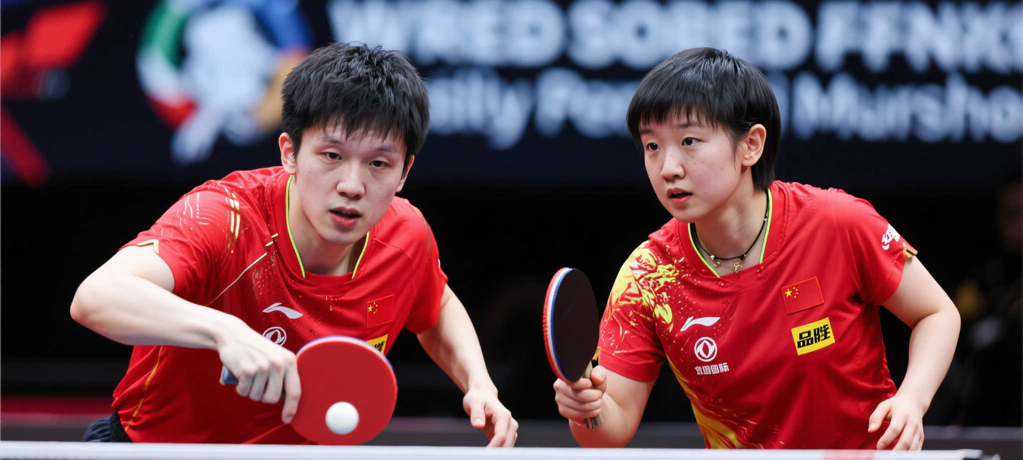 极速体育直播主营商